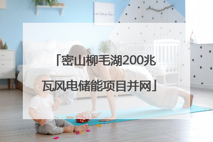 密山柳毛湖200兆瓦风电储能项目并网
