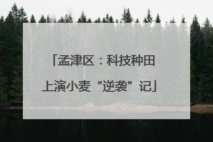孟津区：科技种田 上演小麦“逆袭”记