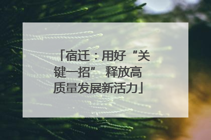 宿迁：用好“关键一招” 释放高质量发展新活力