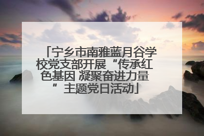 宁乡市南雅蓝月谷学校党支部开展“传承红色基因 凝聚奋进力量”主题党日活动