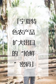 宁夏特色农产品扩大出口的“抢鲜”密码