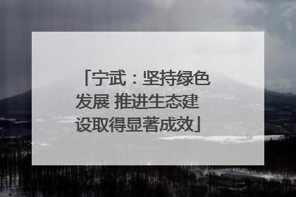 宁武：坚持绿色发展 推进生态建设取得显著成效