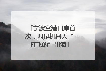 宁波空港口岸首次，四足机器人“打飞的”出海