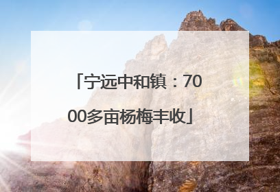 宁远中和镇：7000多亩杨梅丰收