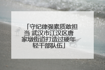 守纪律强素质敢担当 武汉市江汉区唐家墩街道打造过硬年轻干部队伍