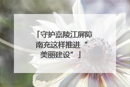 守护嘉陵江屏障 南充这样推进“美丽建设”