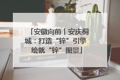 安徽向前丨安庆桐城：打造“锌”引擎 绘就“锌”图景