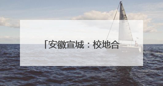 安徽宣城：校地合作 澎湃青春力量