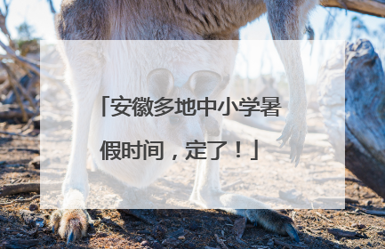 安徽多地中小学暑假时间，定了！