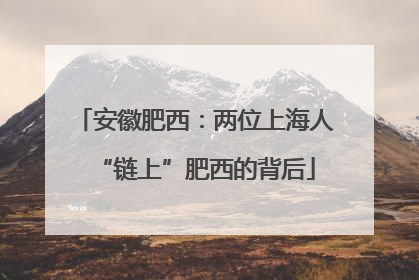 安徽肥西：两位上海人“链上”肥西的背后