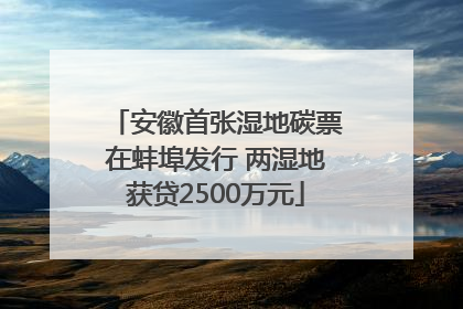 安徽首张湿地碳票在蚌埠发行 两湿地获贷2500万元
