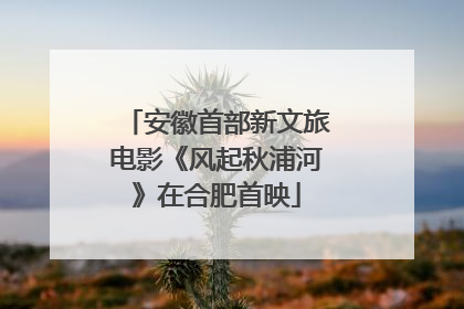 安徽首部新文旅电影《风起秋浦河》在合肥首映
