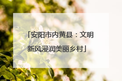 安阳市内黄县：文明新风浸润美丽乡村