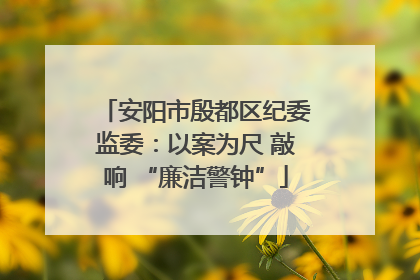 安阳市殷都区纪委监委：以案为尺 敲响 “廉洁警钟”