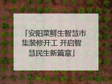 安阳菜鲜生智慧市集装修开工 开启智慧民生新篇章