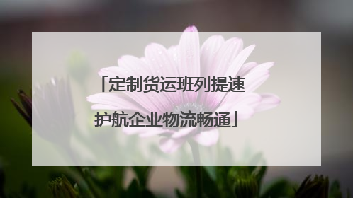 定制货运班列提速 护航企业物流畅通