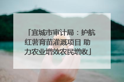 宜城市审计局：护航红薯育苗灌溉项目 助力农业增效农民增收