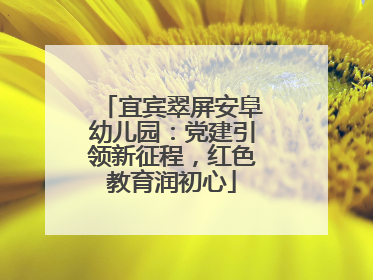 宜宾翠屏安阜幼儿园：党建引领新征程，红色教育润初心