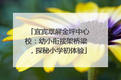 宜宾翠屏金坪中心校：幼小衔接架桥梁，探秘小学初体验