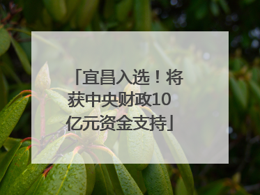 宜昌入选！将获中央财政10亿元资金支持