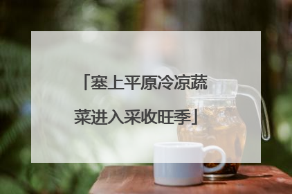 塞上平原冷凉蔬菜进入采收旺季