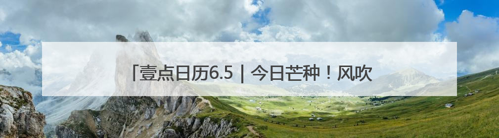 壹点日历6.5｜今日芒种！风吹麦成浪，蝉鸣夏始忙！大家早安