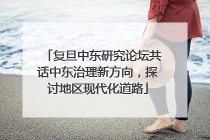 复旦中东研究论坛共话中东治理新方向，探讨地区现代化道路