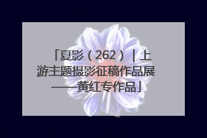 夏影（262）｜上游主题摄影征稿作品展——黄红专作品