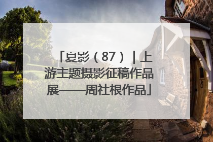 夏影（87）｜上游主题摄影征稿作品展——周社根作品