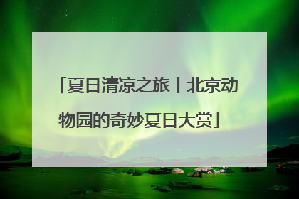 夏日清凉之旅丨北京动物园的奇妙夏日大赏