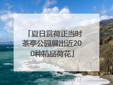 夏日赏荷正当时 茶亭公园展出近200种精品荷花