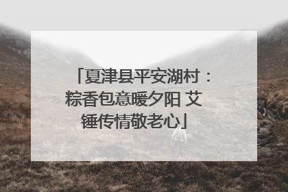 夏津县平安湖村：粽香包意暖夕阳 艾锤传情敬老心