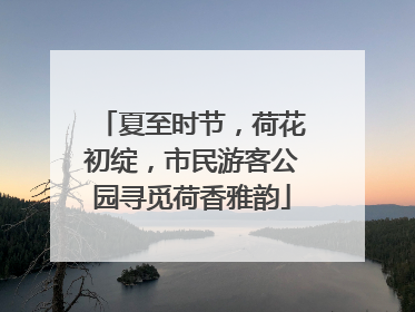 夏至时节，荷花初绽，市民游客公园寻觅荷香雅韵