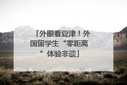 外眼看夏津！外国留学生“零距离”体验非遗