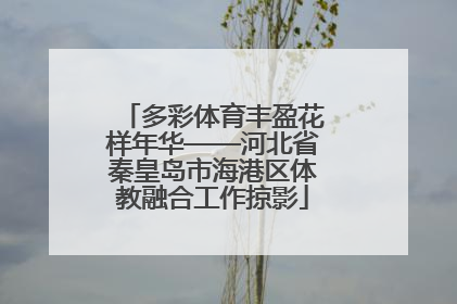 多彩体育丰盈花样年华——河北省秦皇岛市海港区体教融合工作掠影