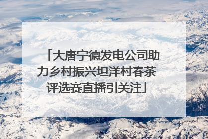 大唐宁德发电公司助力乡村振兴坦洋村春茶评选赛直播引关注