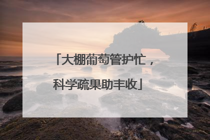 大棚葡萄管护忙，科学疏果助丰收