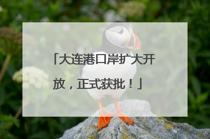 大连港口岸扩大开放，正式获批！