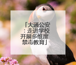 大通公安：走进学校开展多维度禁毒教育