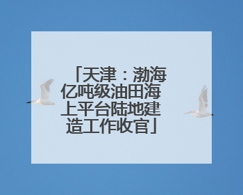 天津：渤海亿吨级油田海上平台陆地建造工作收官