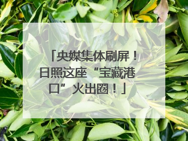 央媒集体刷屏！日照这座“宝藏港口”火出圈！