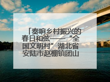 奏响乡村振兴的春日和弦——“全国文明村”湖北省安陆市赵棚镇团山村农文旅融合发展见闻