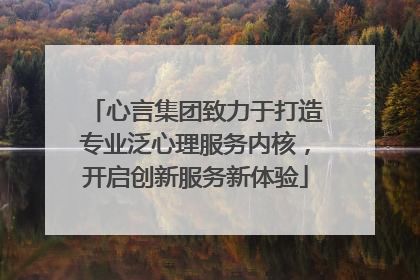 心言集团致力于打造专业泛心理服务内核，开启创新服务新体验