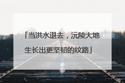 当洪水退去，沅陵大地生长出更坚韧的纹路