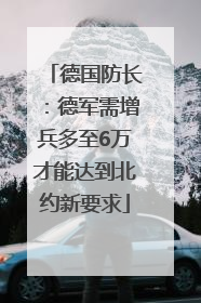 德国防长：德军需增兵多至6万才能达到北约新要求