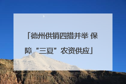 德州供销四措并举 保障“三夏”农资供应
