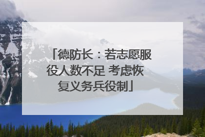 德防长：若志愿服役人数不足 考虑恢复义务兵役制