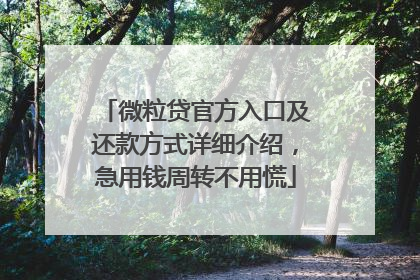 微粒贷官方入口及还款方式详细介绍，急用钱周转不用慌