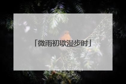 微雨初歇漫步时