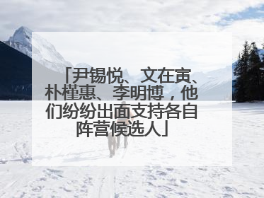 尹锡悦、文在寅、朴槿惠、李明博，他们纷纷出面支持各自阵营候选人